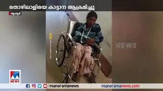 തൃശൂരില്‍ വനിതാ തൊഴിലാളിക്ക് നേരെ കാട്ടാനയുടെ ആക്രമണം| Thrissur Elephant attack