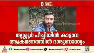 തൃശ്ശൂർ പീച്ചിയിൽ കാട്ടാന ആക്രമണം; യുവാവിന് ദാരുണാന്ത്യം ‌| Thrissur | Wild elephant