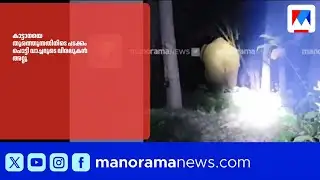 കാട്ടാനയെ തുരത്തുന്നതിനിടെ പടക്കം പൊട്ടി വാച്ചറിന് ഗുരുതര പരിക്ക് |Thrissur |Wild Elephant Attack