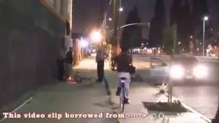 thug life Tom Zebra, Katman & Ricky Munday PRICELESS