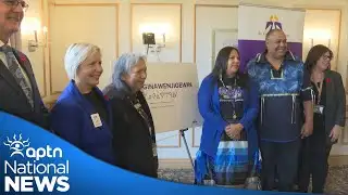 Thunder Bay officially opens new culturally appropriate, trauma informed care site | APTN News