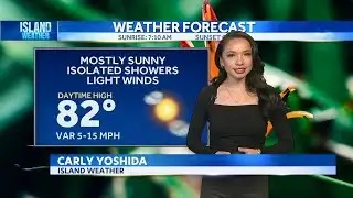 Thursday Weather | Calm conditions with light winds and isolated showers