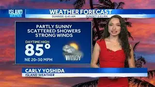 Thursday Weather | Windy Trades, Showers, and High Surf Continue