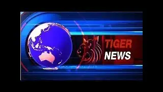 Tiger News TV 01 10 2562