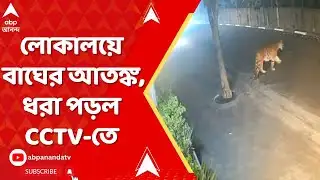 Tiger Spotted News: শহরের অন্দরে ঢুকল বাঘ, রাজামুন্দ্রিতে চাঞ্চল্য; CCTV-তে ধরা পড়ল গতিবিধি | ABP