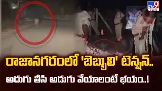 Tiger Terror in Rajanagaram : రాజానగరంలో 