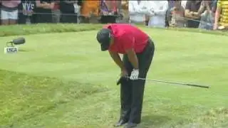 Tiger Woods