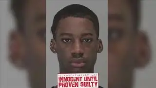 TikTok creator known as "Mr. Prada," Terryon Thomas, pleads not guilty