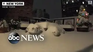 Timelapse of snow building up in NYC