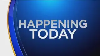 Tinley Park Irish Parade Returns Sunday