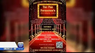 Tiny Pine Foundation to hold 4th annual Gala in November