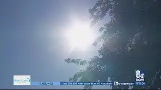 Tips for staying safe in the brutal summer heat