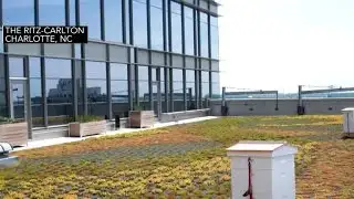 Tips for sustainable tourism