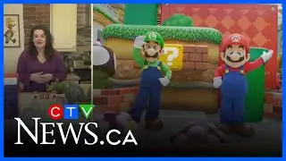 Tips to beat the winter blues