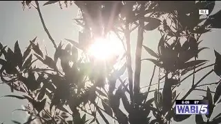 Tips to stay safe among record-high temperatures