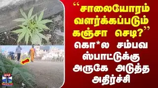 Tiruvallur | Crime | "சாலையோரம் கஞ்சா செடி?" | கொ*ல சம்பவ ஸ்பாட்டுக்கு அருகே அடுத்த அதிர்ச்சி