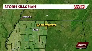 Tishomingo County man dies after tree falls on mobile home during icy weather
