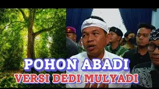 To prevent landslides, KDM plants perennial trees in West Java.