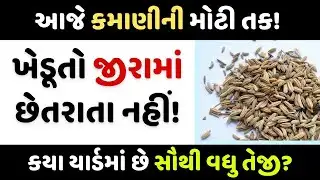 ખેડૂત મિત્રો સાવધાન! જીરું વેચતા પહેલા આ વિડીયો ખાસ જોજો today APMC rate આજના બજાર ભાવ 