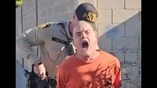 Tom Zebra Arrested In Las Vegas For the 100th Time