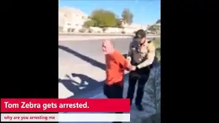Tom Zebra gets arrested