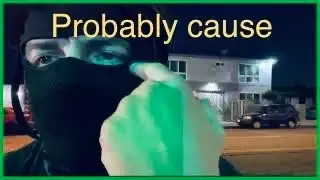 Tom Zebra Probably Cause