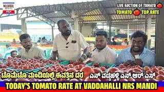 Tomato rate today 