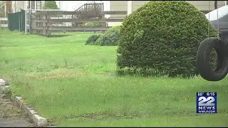 Too much rain can be bad for your lawn