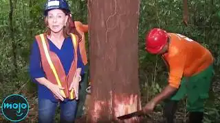 Top 10 Worst Decisions in Recent World History