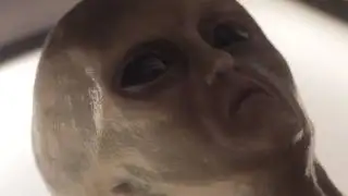 Top Alien and UFO Encounters in History