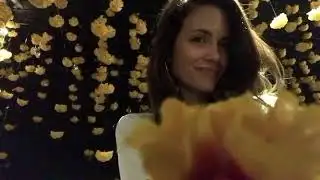 Torrey DeVitto stories