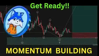 TOSHI CRYPTO HOLDERS || YOU