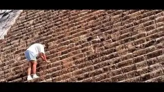 Tourist Caught Illegally Climbing Famous Pyramid #news