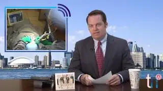 Townie News Wire: Week of July 13th 2015