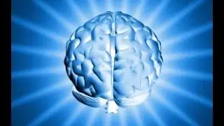 Toxic Antidepressants News Digest No.19