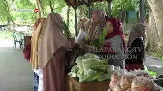 TPID LOTIM HIGHLIGHTS CHILI AND ONION PRICES