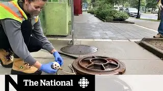 Tracking COVID-19 through wastewater as clinical testing systems overwhelmed