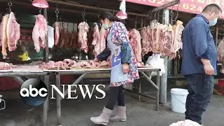 Tracking the coronavirus origins | ABC NEWS PRIME