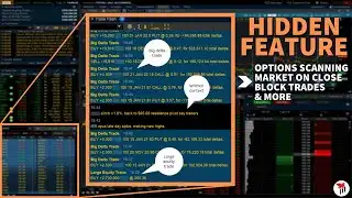 TRADE FLASH | Hidden ThinkOrSwim Feature