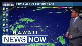Trade winds dominate the coming week