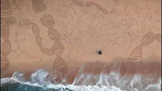 Trailer for The Paradigm Project: Intelligent Design