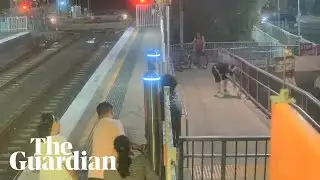 Train passenger wrangles snake on suburban platform in Sydney