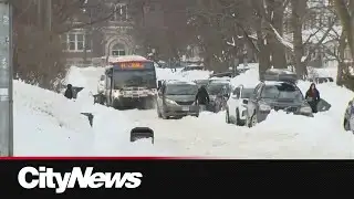 Transit delays, closures and disruptions continue two days after massive winter storm