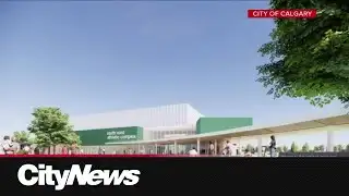 Transit gets more money, while climate funding cut in Calgary’s 2026 budget