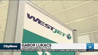 Travellers concerned as possible WestJet pilot strike looms