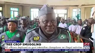 Tree Crop Smuggling: 85 officers deployed as govt intensifies clampdown on illegal activities