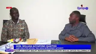 Tree Crops Development Authority employs 84 permanent staff for smooth operations