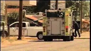 Tree Falls Into Propane Tank, Causes Spill