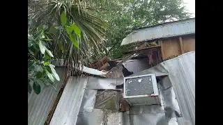 Tree falls on Florida home, trapping family inside