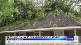 Tree falls on home during dangerous storms